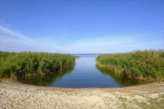 Backwaters near Balm in Benz