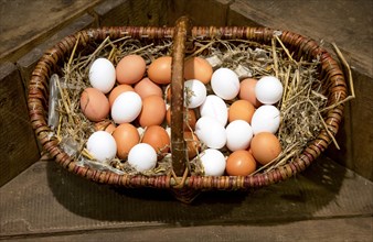 Brown and white eggs lying on straw in wicker basket for sale