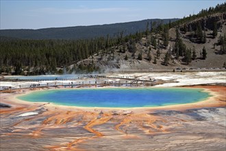 Grand Prismatic Spring