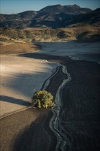 Fields and hills