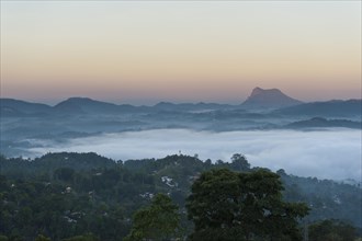 Dawn with fog