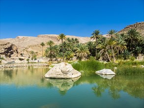 Wadi Bani Khalid