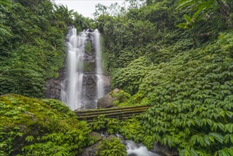 Munduk waterfall in jungle