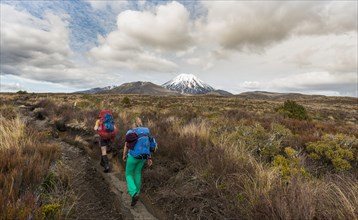 Hikers