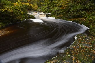 Stream of the Hoegne in autumn