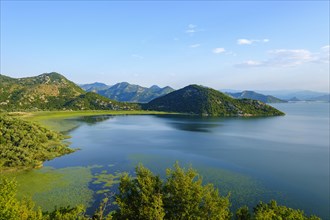 Lake Skadar near Virpazar