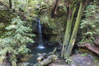 Sempervirens Waterfall