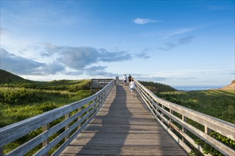Wooden pier leading to beach of Prince Edward Island National Park