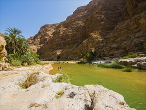 Wadi ash Shab