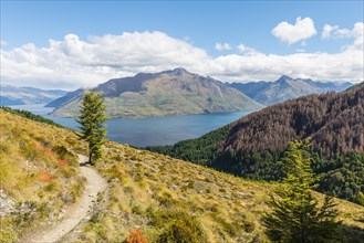 View of Lake Wakatipu