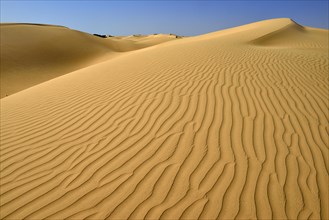 Sanddunes of Al Khaluf desert