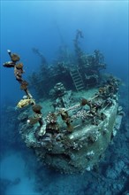 Stern of ship wreck