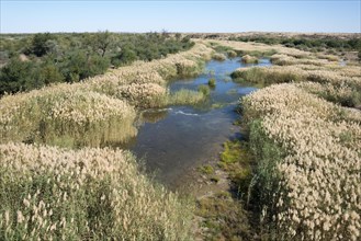 Fish River