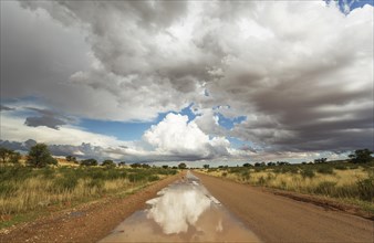 Puddles on road and cumulus clouds