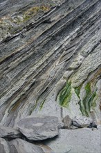 Flysch
