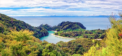 View from the Abel Tasman track cost in Frenchman Bay