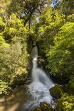 Waiatiu Falls