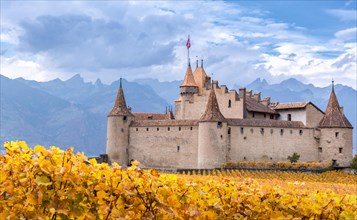 Aigle Castle surrounded by vineyards