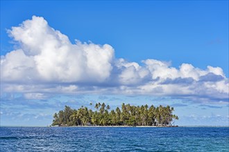 Small island with palm trees