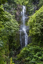 Makahiku falls in green vegetation