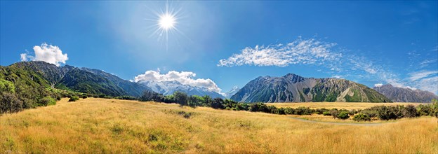 Panorama of golden grasslands with Mount Cook