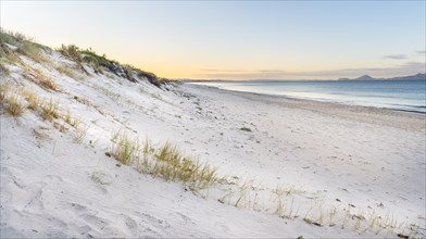 Beach at sunset