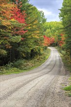 Road through Algonquin Provincial Park in Autumn