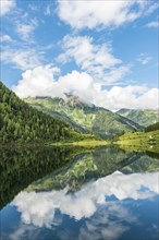 Forest and mountains