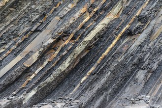 Flysch