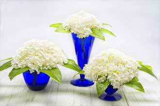 Flower arrangement in vases