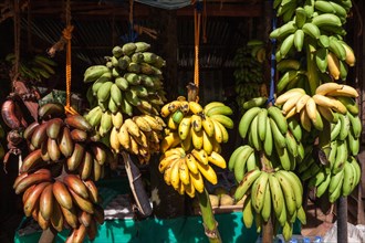 Fruit stall