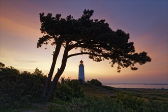 Lighthouse Dornbush on the Schluckwieksberg