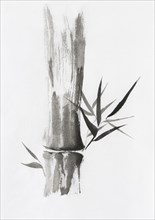 Beautiful Zen painting of bamboo stalk and leaves