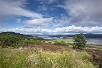 View from viewpoint Struie Hill to the estuary Dornoch Firth