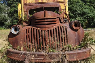 Plants growing out of vintage truck