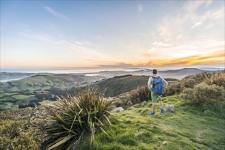 Hiker enjoying view from Mount Cargill Dunedin with Otago Harbor and Otago Peninsula