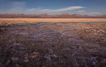Laguna Chaxa lagoon in the salt lake Salar de Atacama