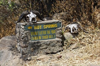 Sign decorated with buffalo skulls