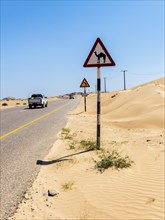 Street through sandy desert with sign warning of camel crossings