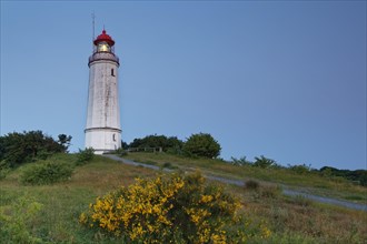 Lighthouse Dornbush on the Schluckwieksberg