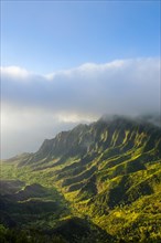 Napali coast with green mountains seen from the Kalalau lookout