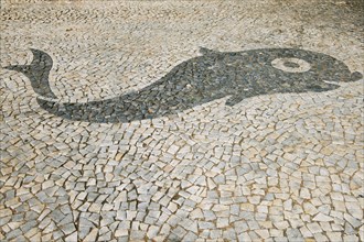 Fish mosaic in pavement