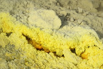 Sulphur fumaroles on the Gran Cratere