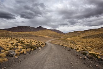 Gravel road through the Andes
