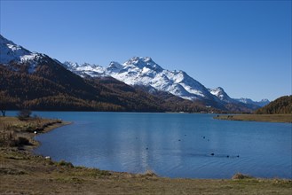 Silvaplana lake in the Upper Engadine