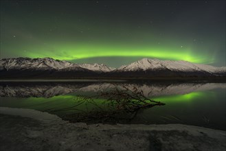 Aurora and tree branch