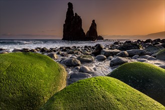 Rock formation Ribeira de Janela at sunrise with mossy stones on the beach
