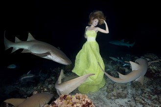 Beautiful woman in yellow dress posing underwater with Tawny nurse sharks