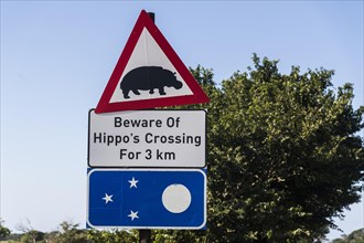 Beware Of Hippos Crossing