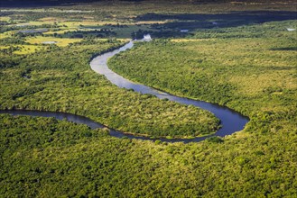 Rio Negro flows through jungle